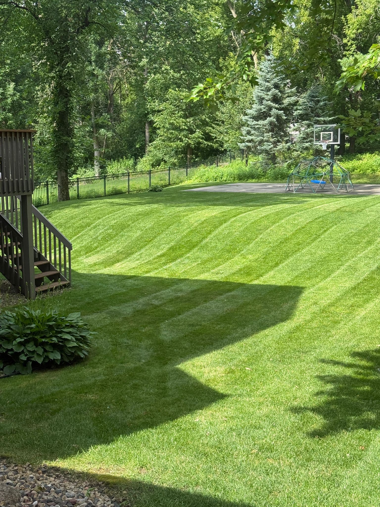 Residential yard