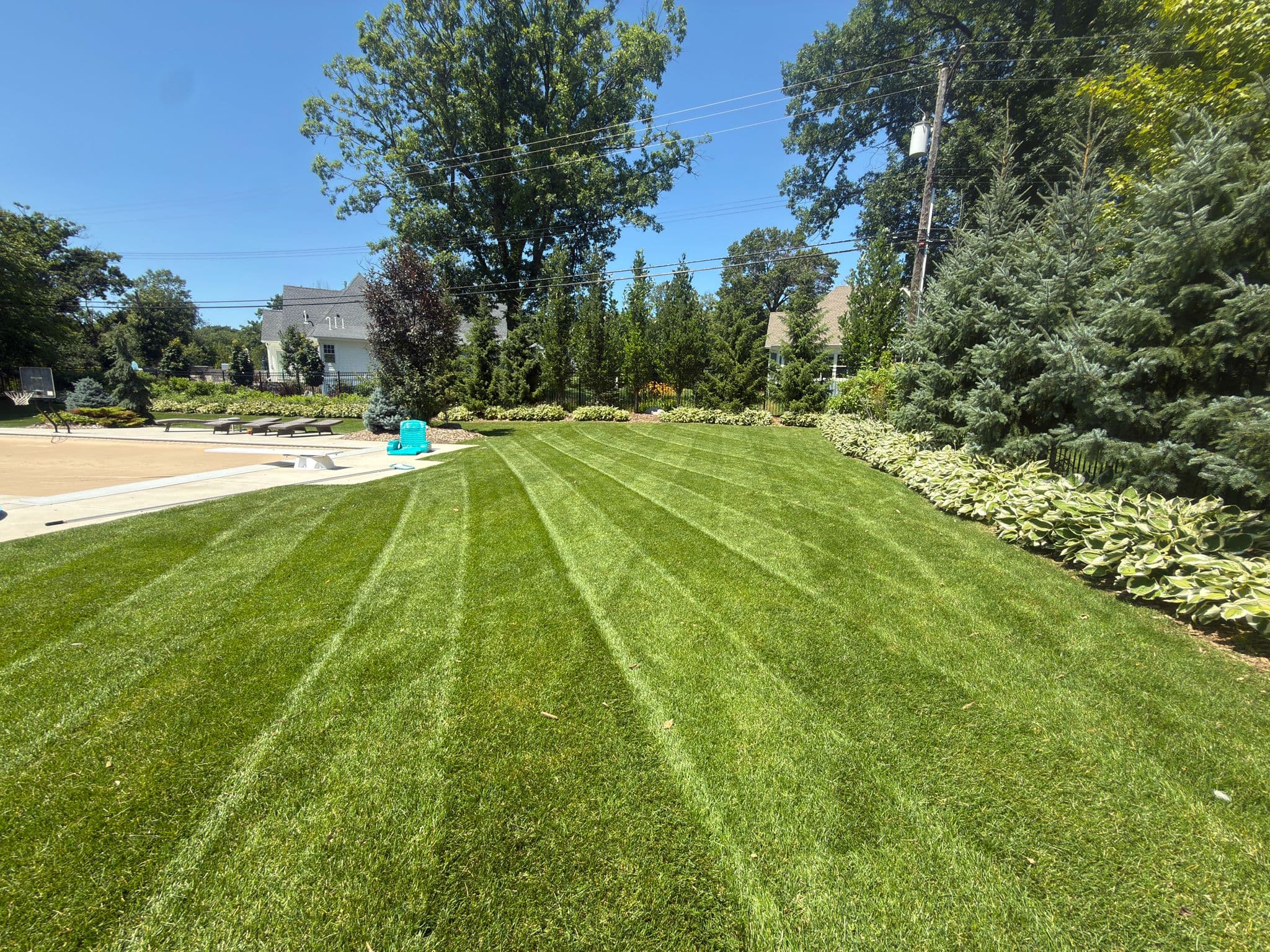 Residential yard